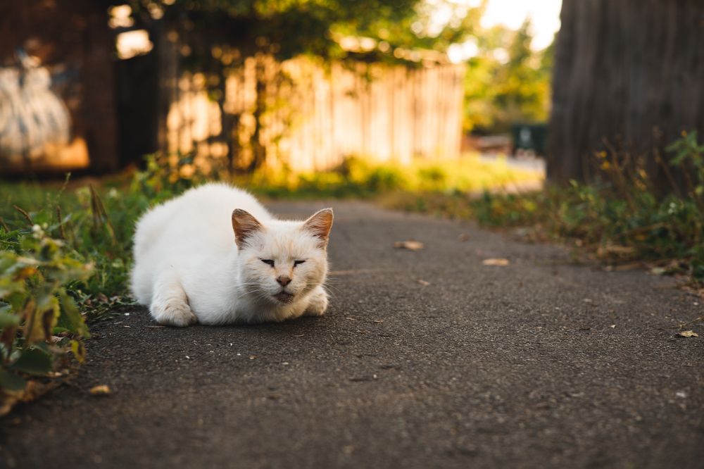 Photograph by Данил Гурьев