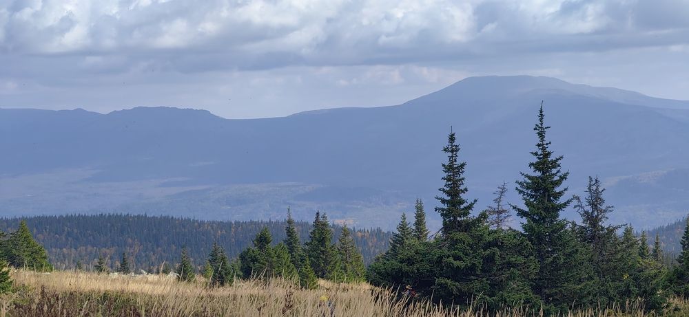 Photograph by Ольга Рыбалова