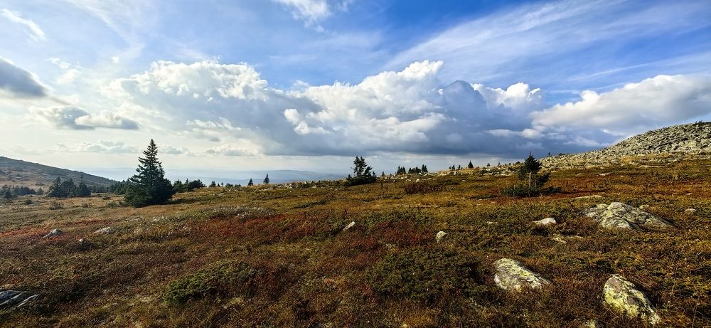 Photograph by Ольга Рыбалова