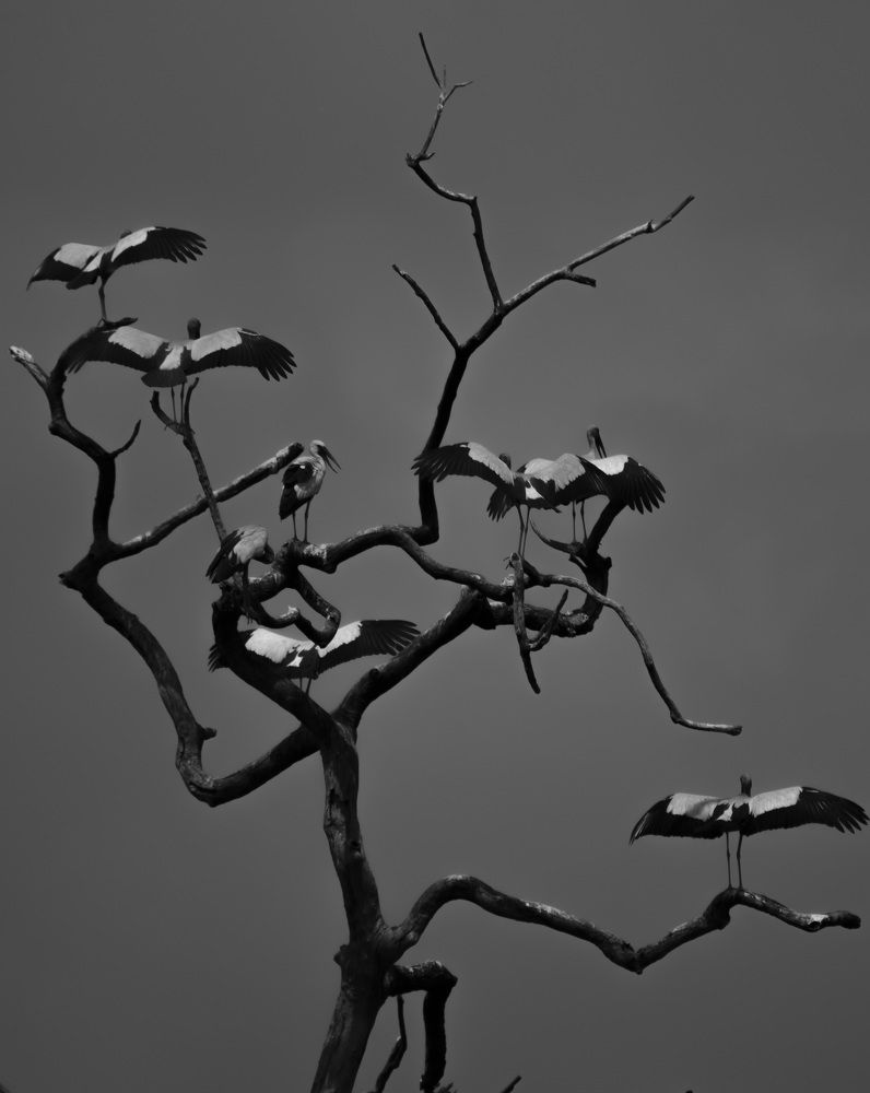 Photograph by Sudip Dey