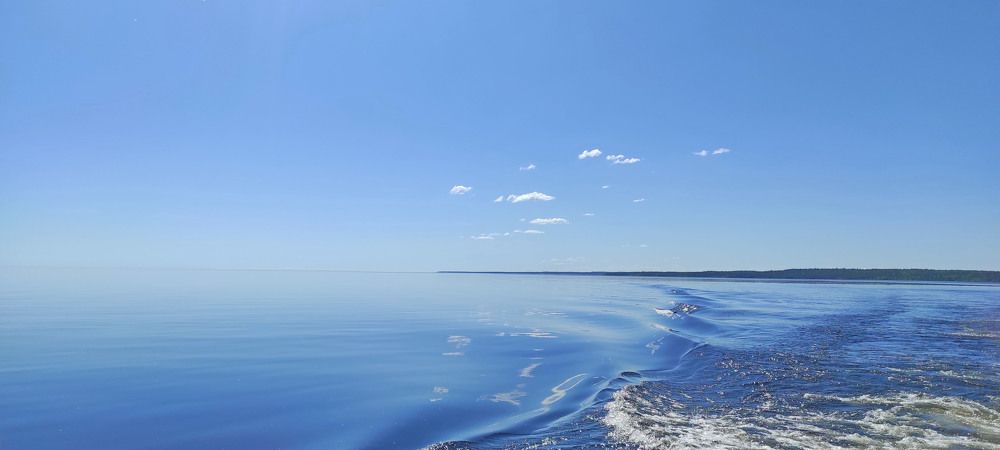 Photograph by olga stekhnovskaya