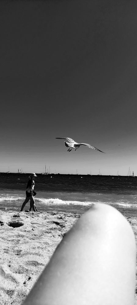 Photograph by ALINA MAN