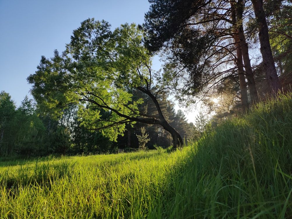 Photograph by Рустам Сафин