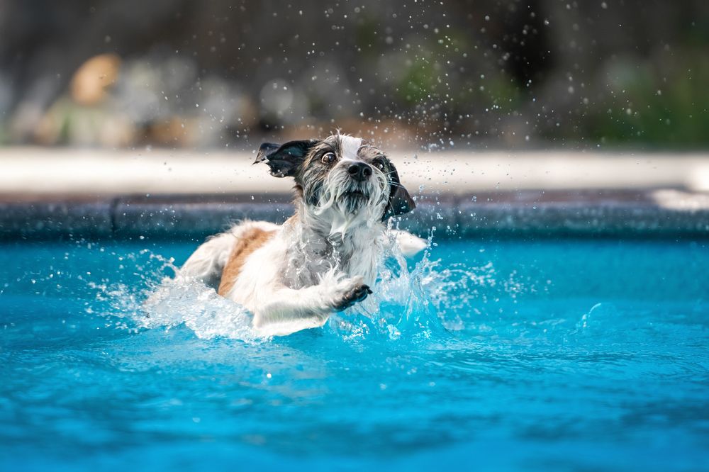 Photograph by Наталья Орел