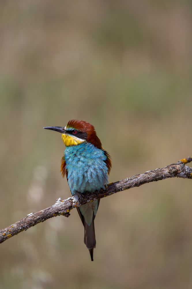 Photograph by alvaro berben marin