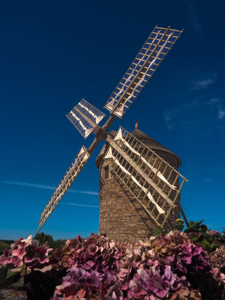 Photograph by Александра Шилова