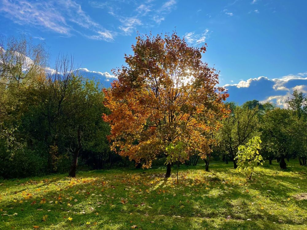 Photograph by Валерий Мыльников