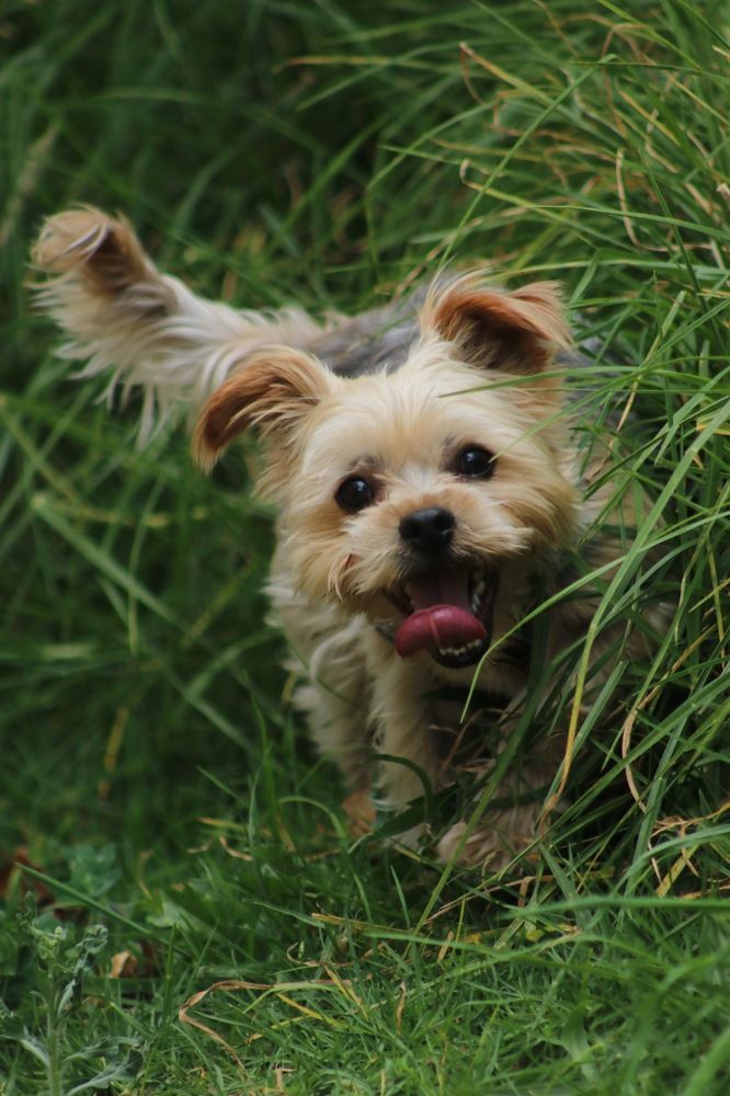 Photograph by Yauri Anrango