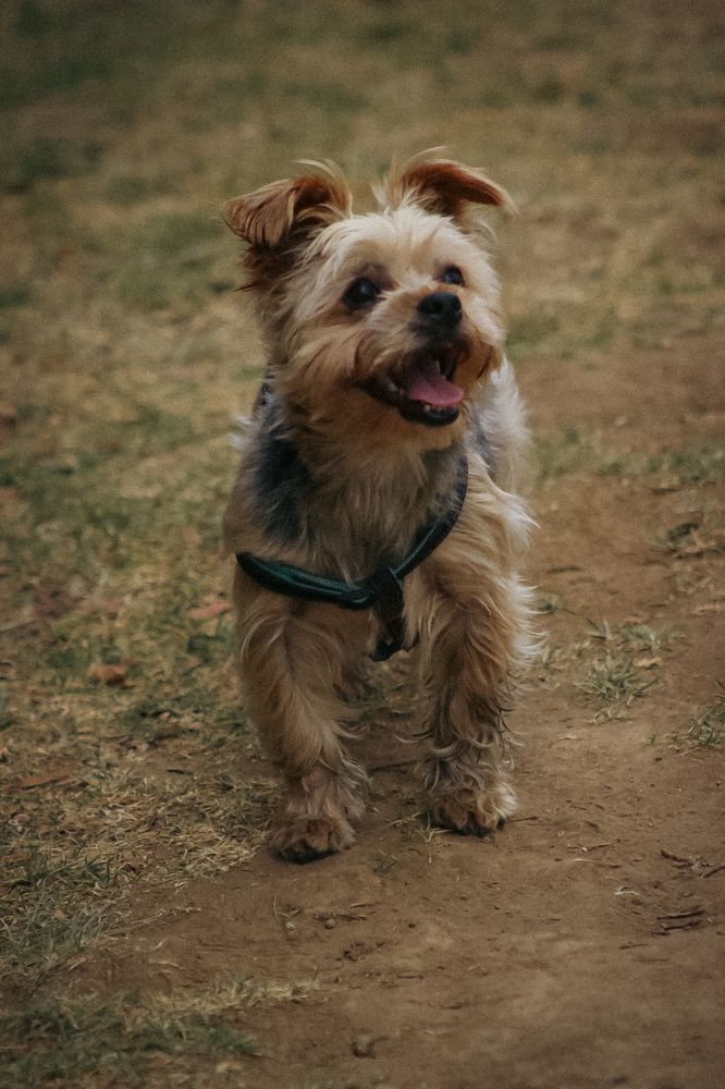 Photograph by Yauri Anrango