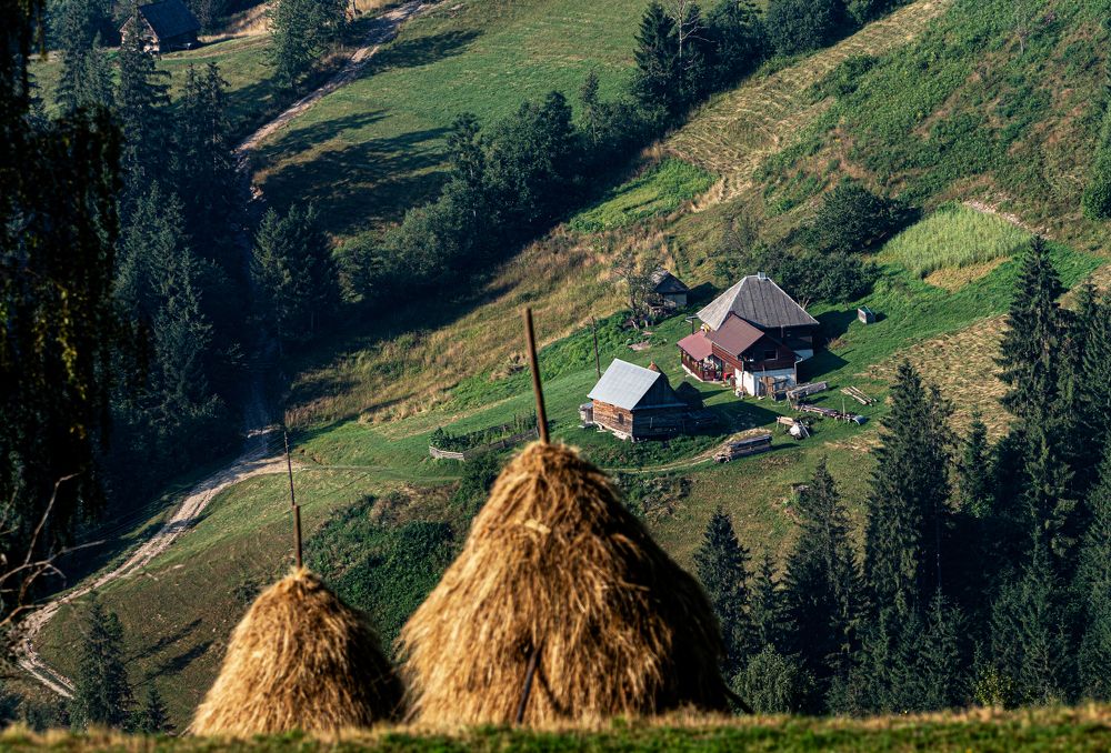 Photograph by TOMA MARIN