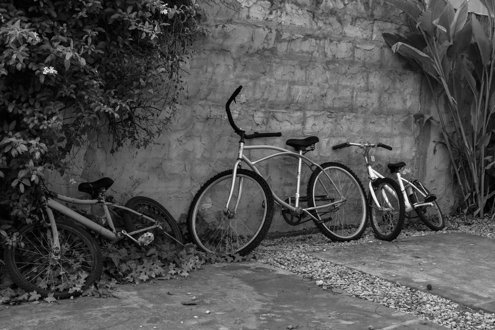 FORGOTTEN BIKES