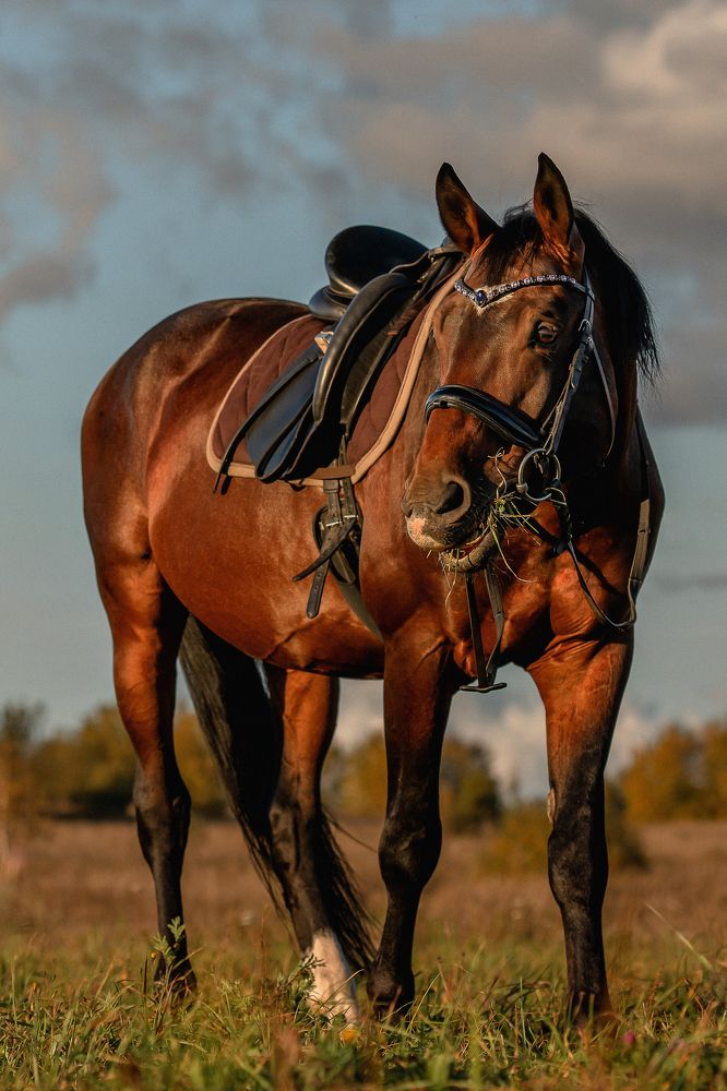 Photograph by Юлия Петухова