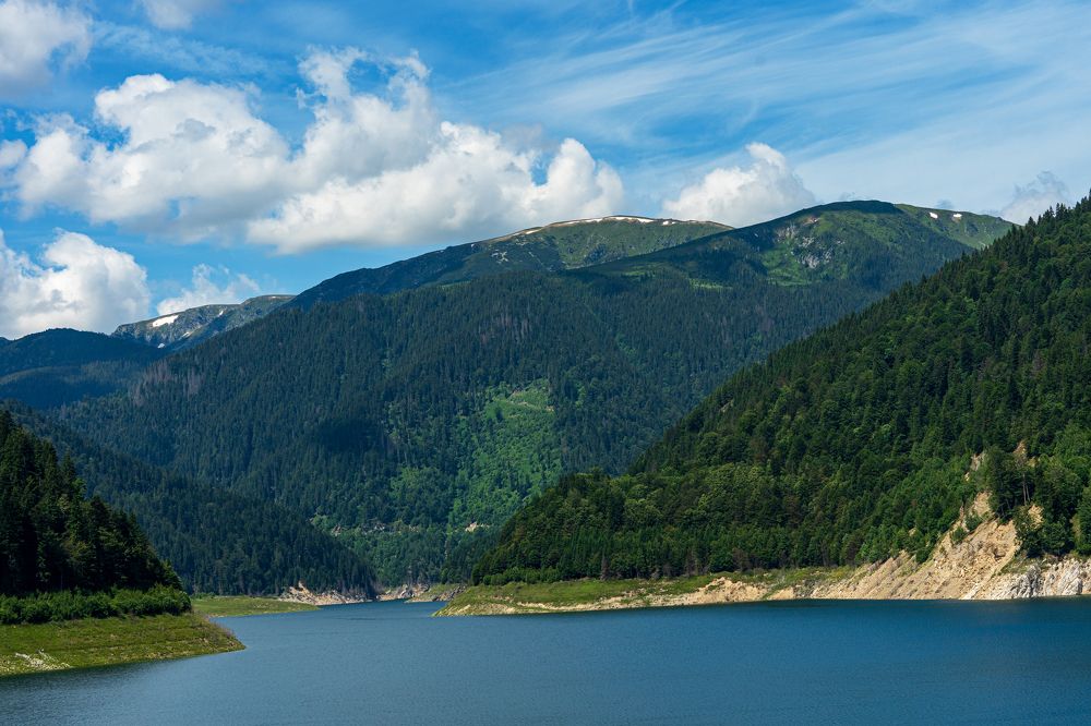 Photograph by TOMA MARIN