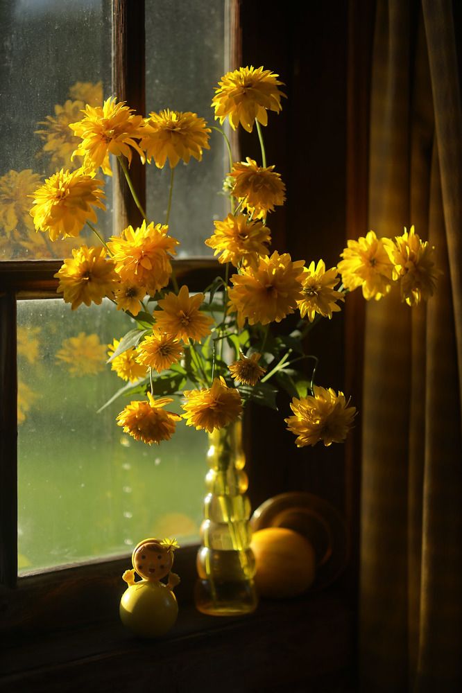 В желтом свете