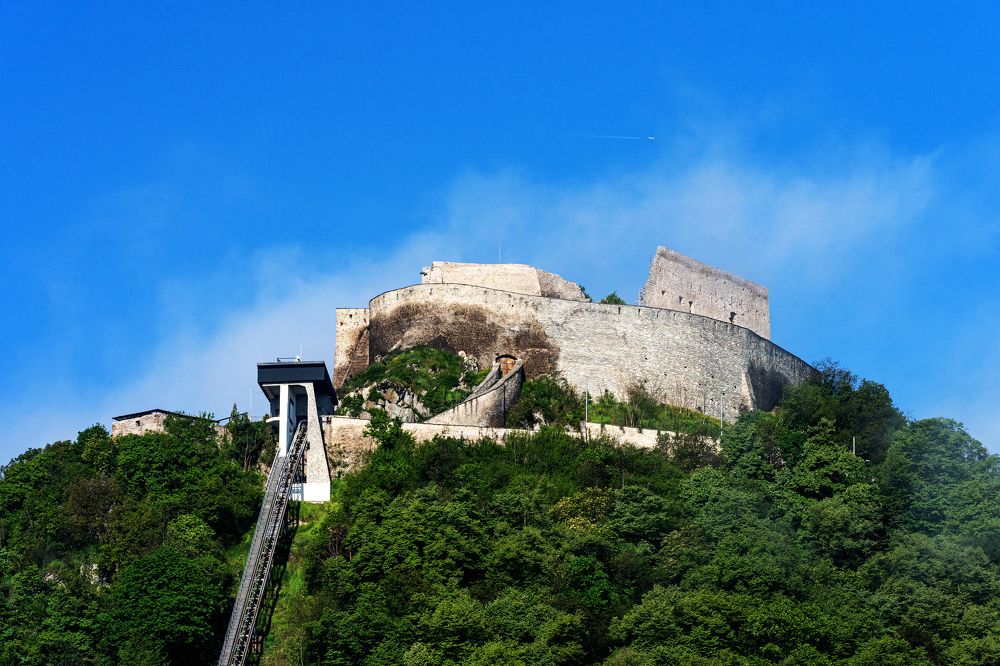 Photograph by TOMA MARIN