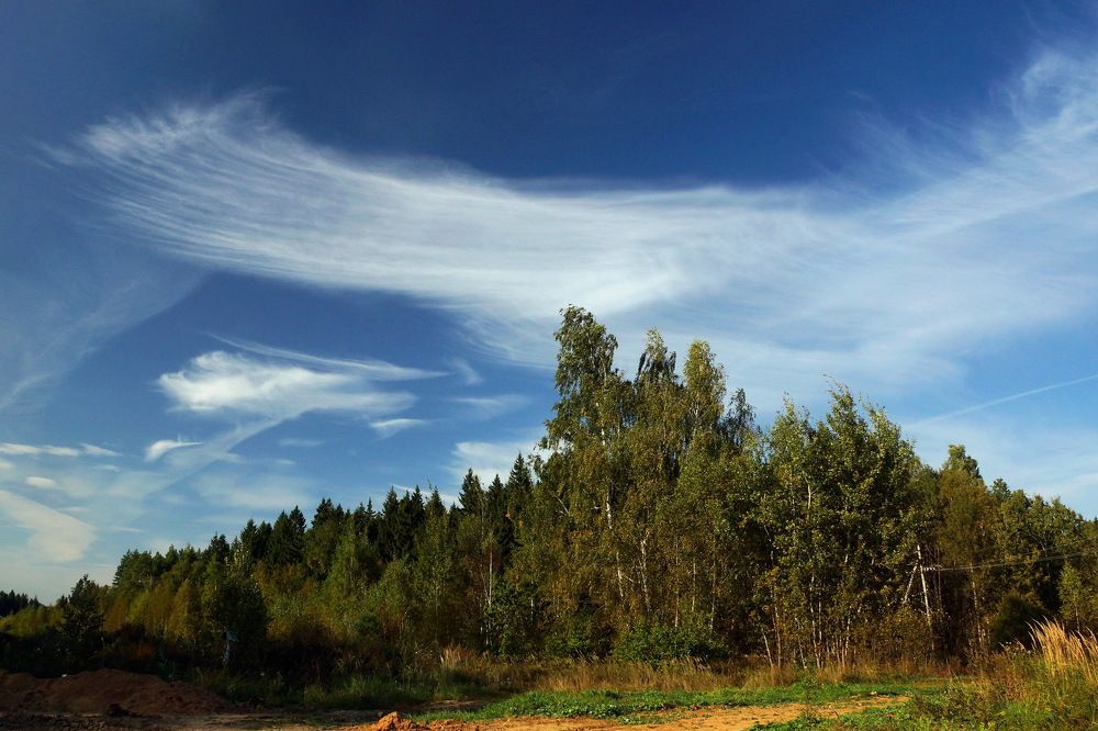 Photograph by Алексей Андреев