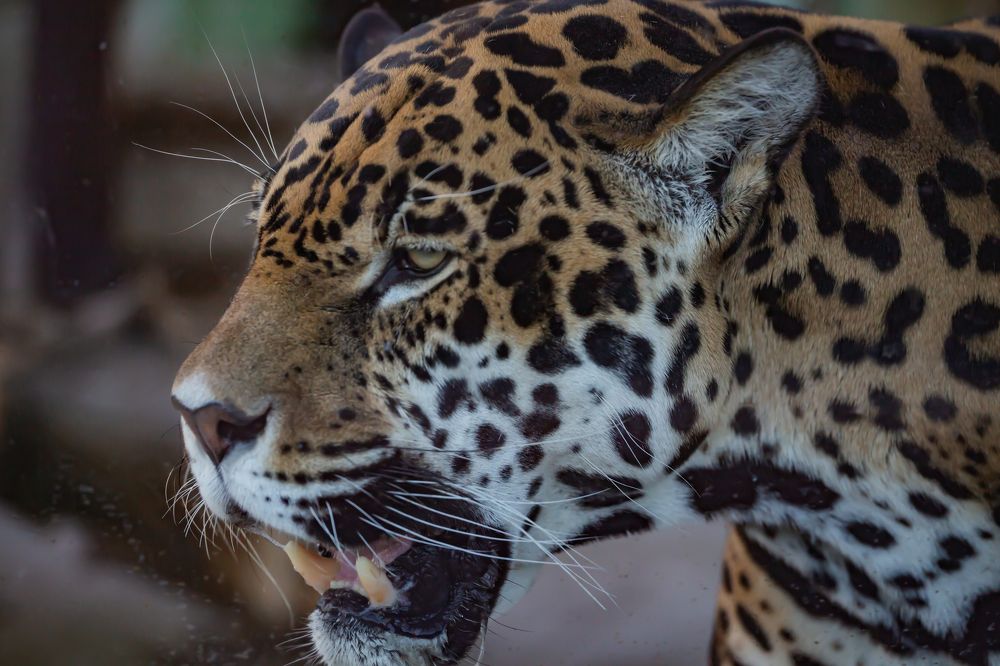 Фотография автора Дмитрий Новиков