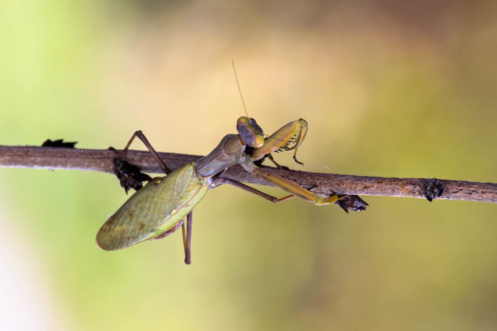 Photograph by Наталья Вялых