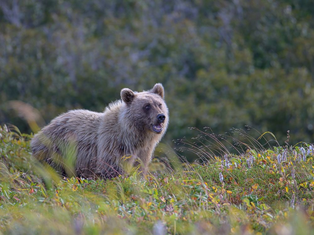 Photograph by Евгений Владимиров