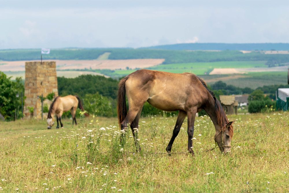 Photograph by Наталья Вялых