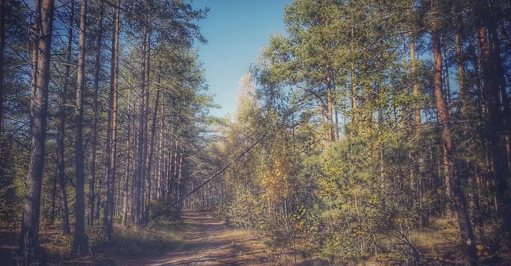 Photograph by Дмитрий Коршак