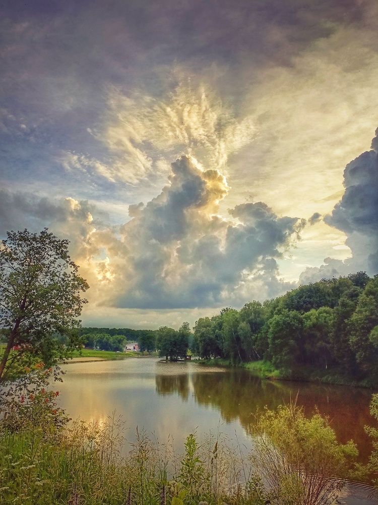 На закате лета