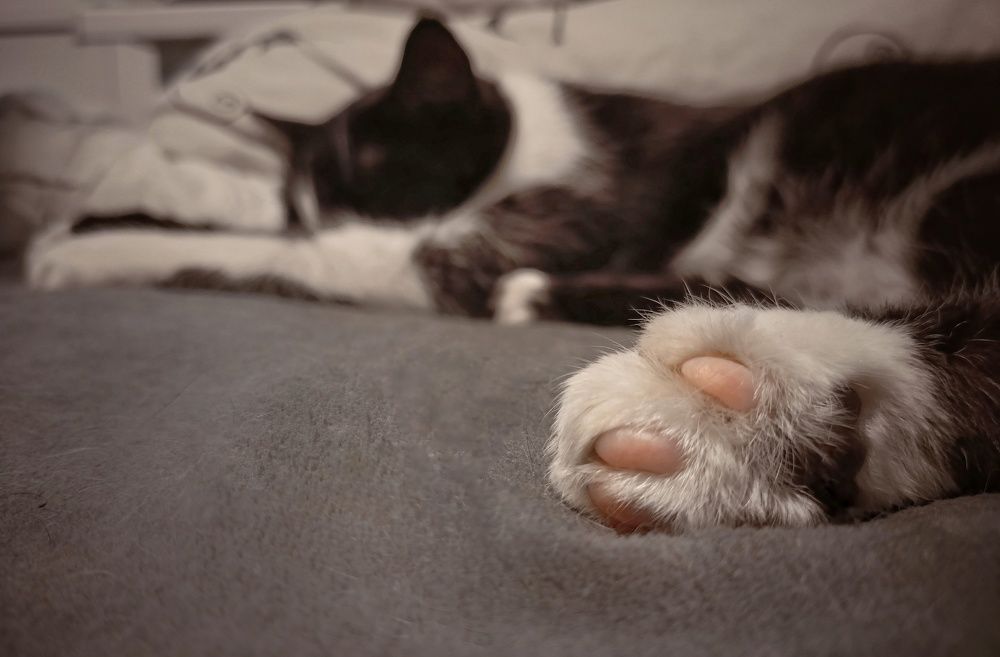 Photograph by Евгения Сафронова