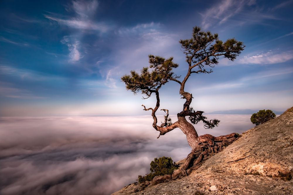 Photograph by Александр Разумов