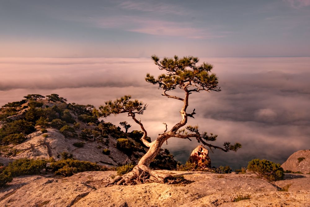 Photograph by Александр Разумов