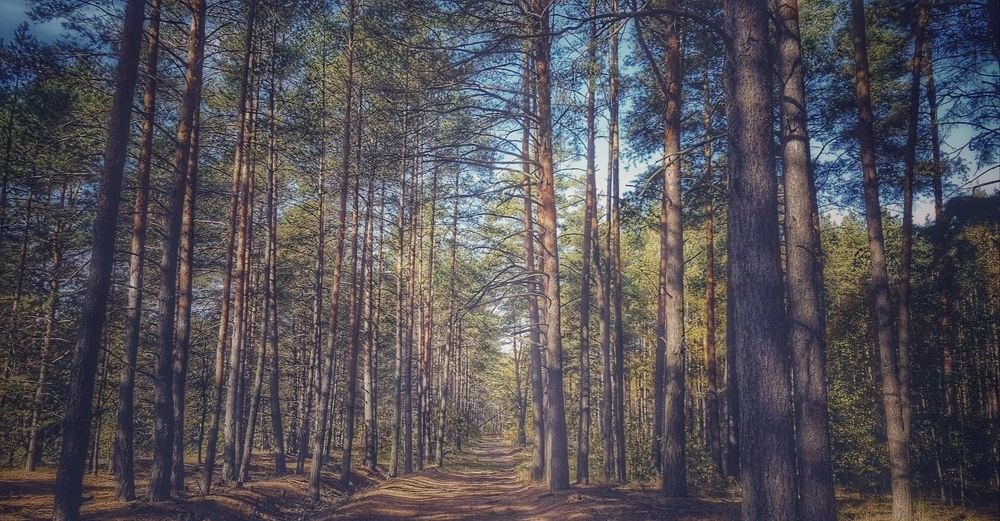 Photograph by Дмитрий Коршак