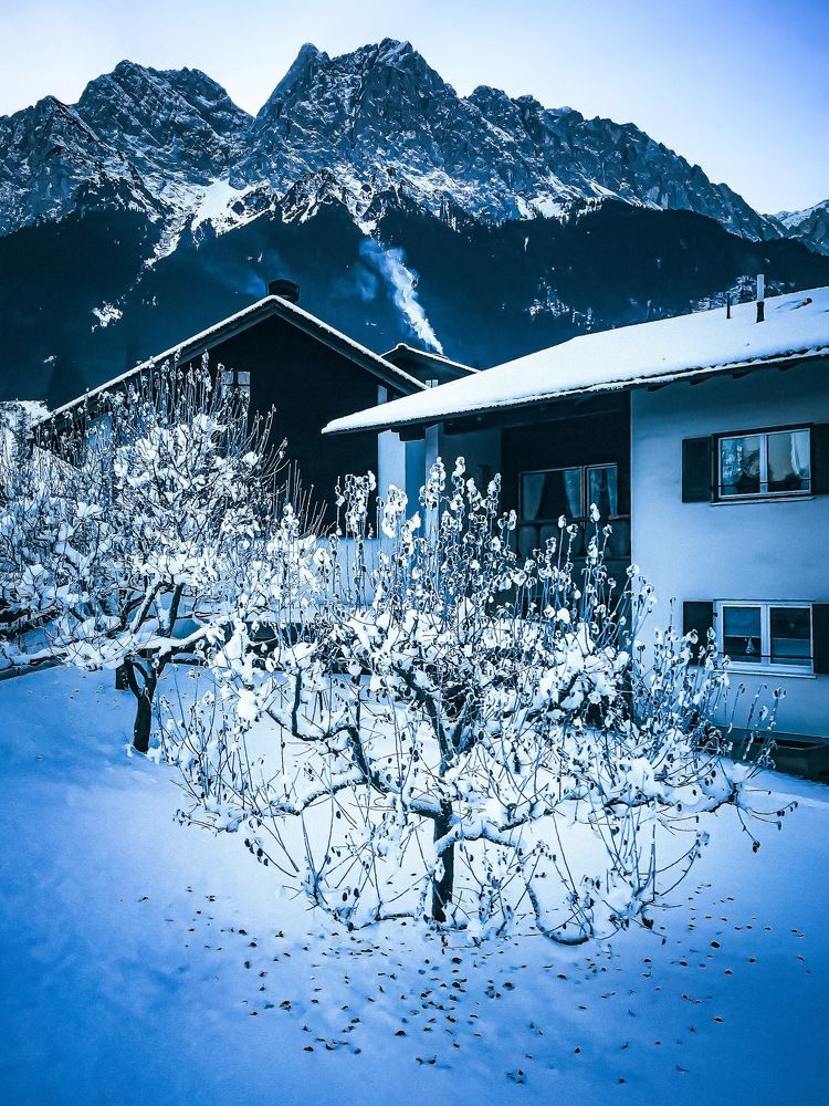 Photograph by Ayman Naguib