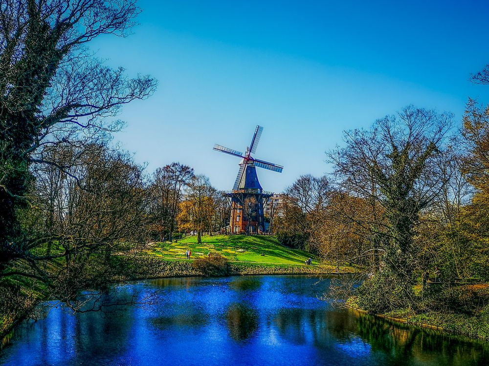 Photograph by Ayman Naguib