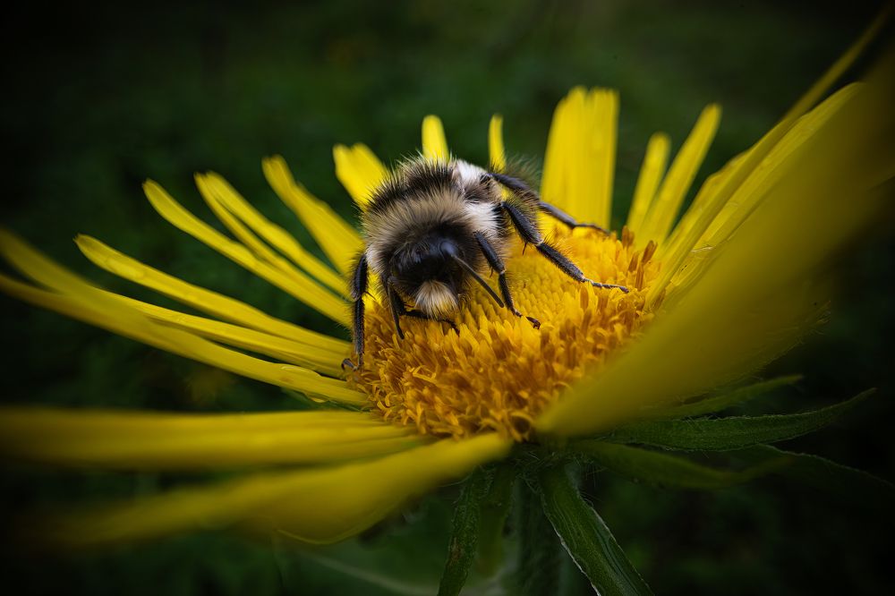 Фотография автора Ляшеев Дмитрий
