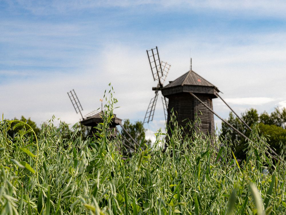 Фотография автора Ирина Гриценко