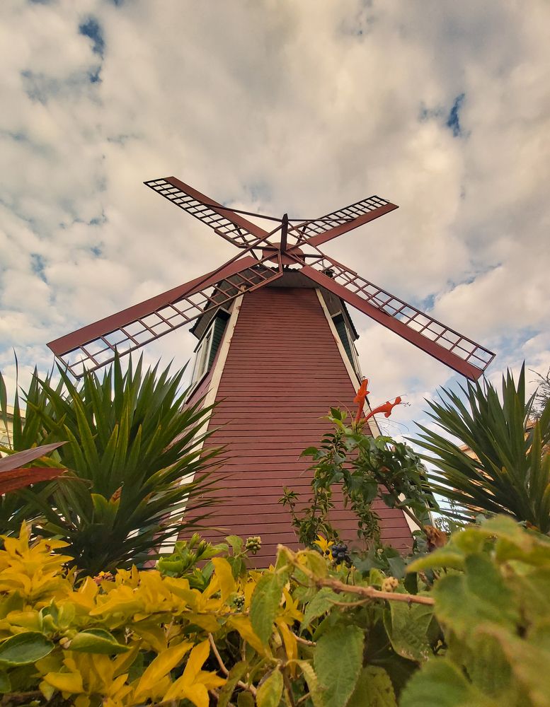 Photograph by Bassant Mohamed Salama