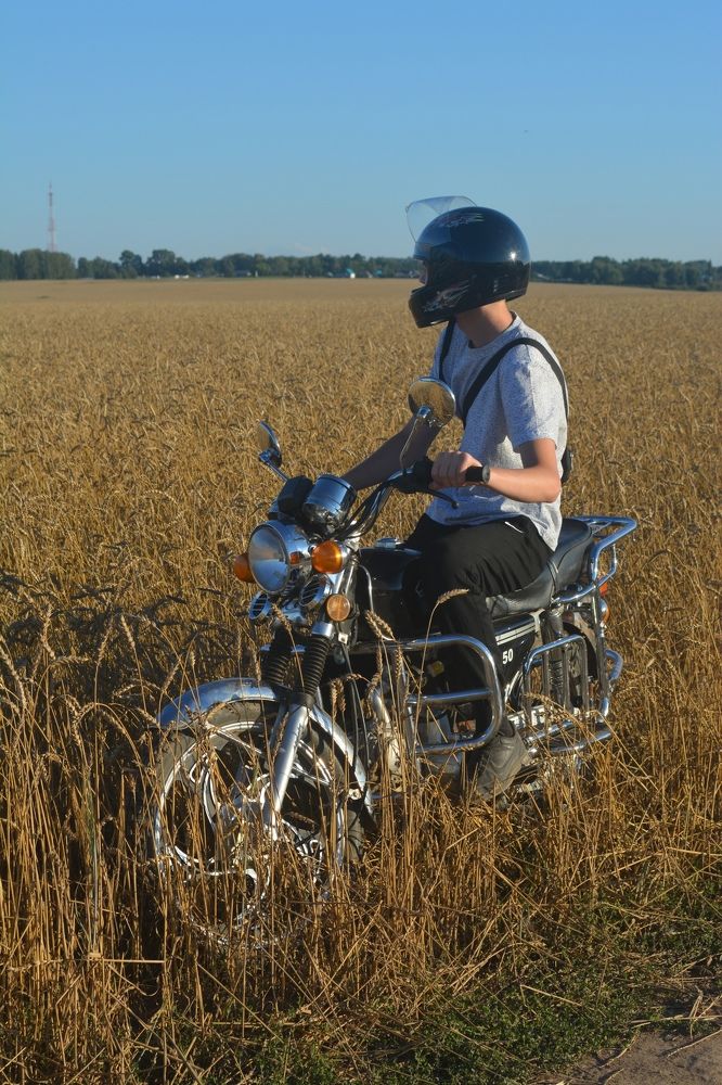 Первый конь