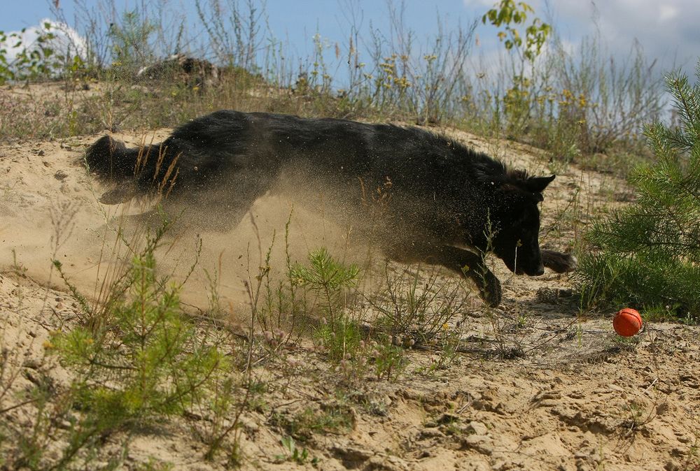 Фотография автора Надежда Лисицына