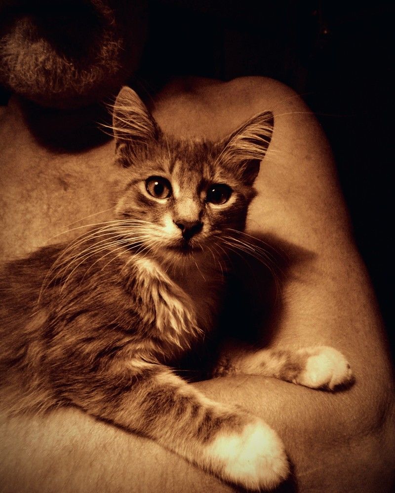 Photograph by Дмитрий Соколов