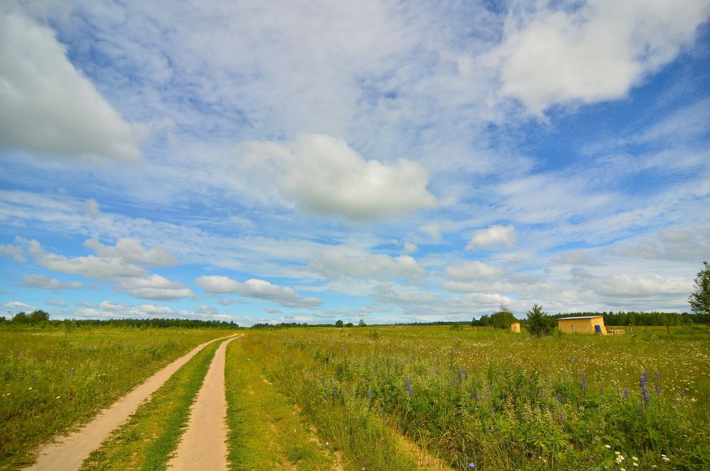 Фотография автора Клавдия Васильева