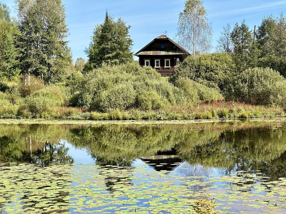 Photograph by Kuzmichev Alexey