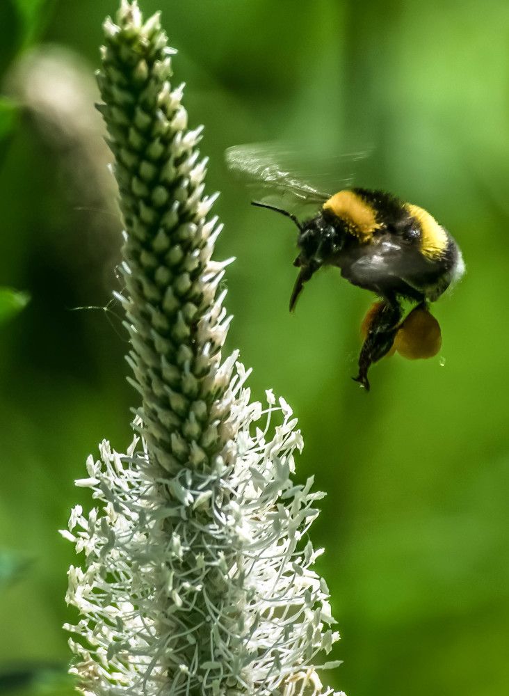 Photograph by Андрей Лапин