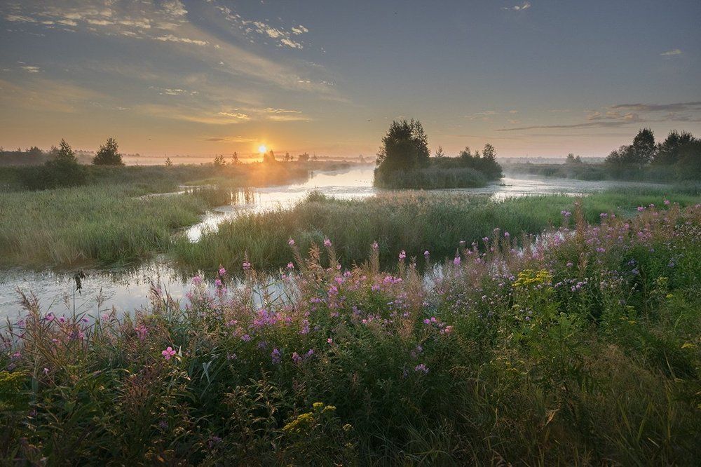 "летние рассветы"