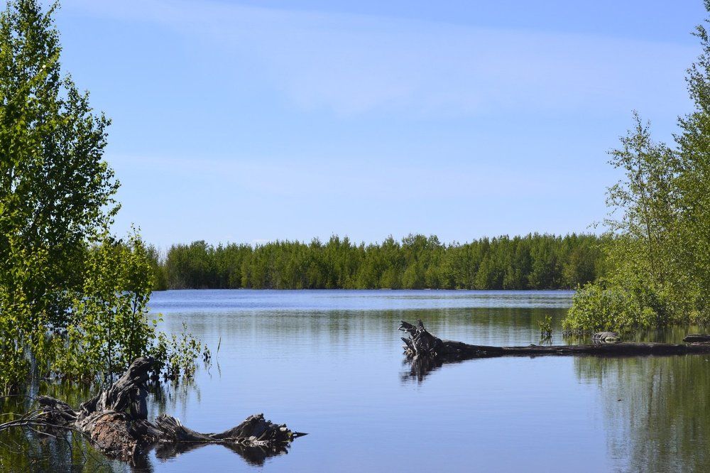 Photograph by Анастасия