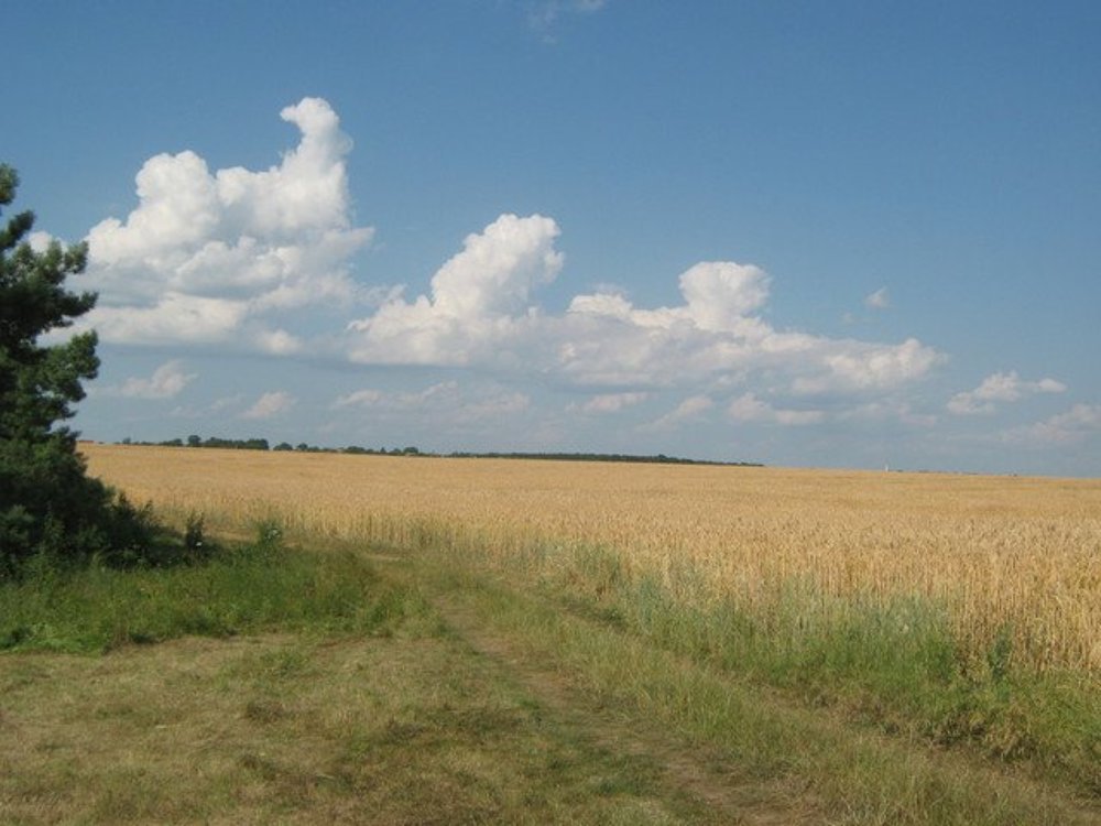 "Облака над полями"