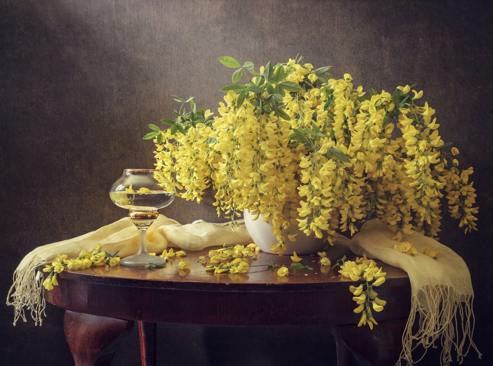 Still life Bunches of yellow acacia