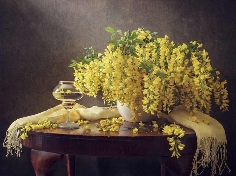 Anyuta Gillespie, Great Britain