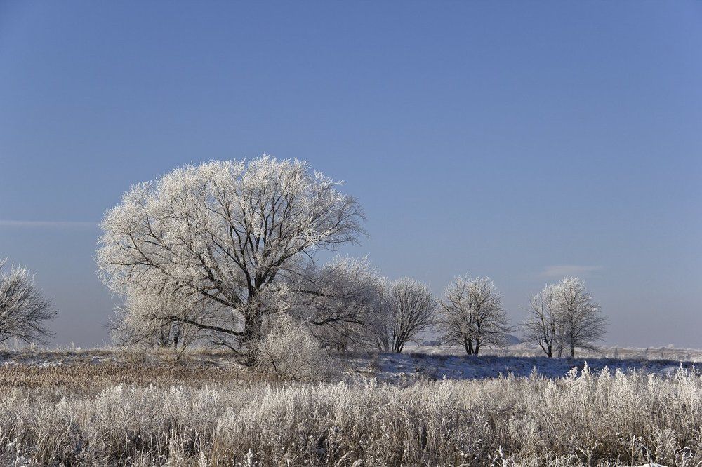 Морозное утро