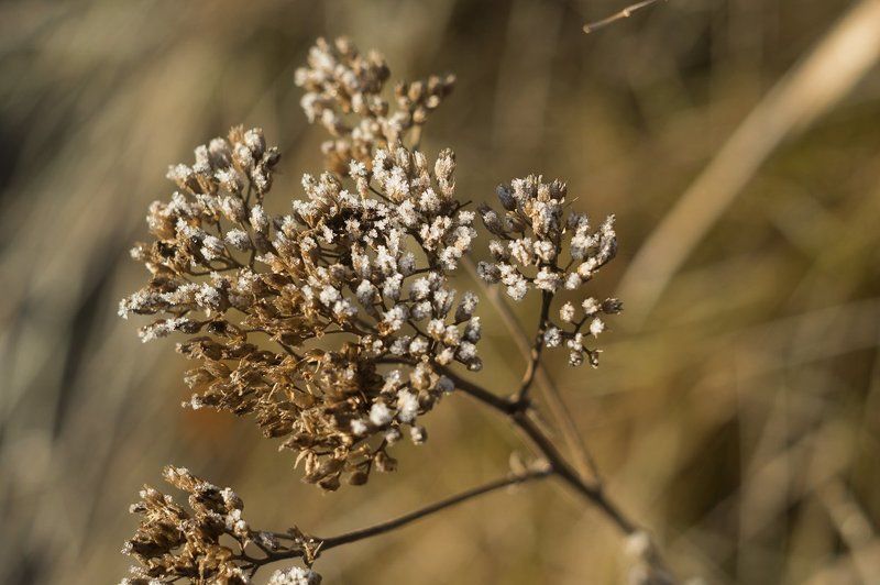 виталя, Ukraine