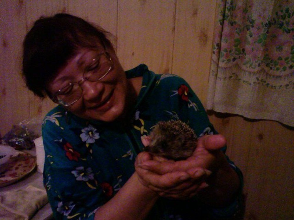 Photograph by Владимир Горелов