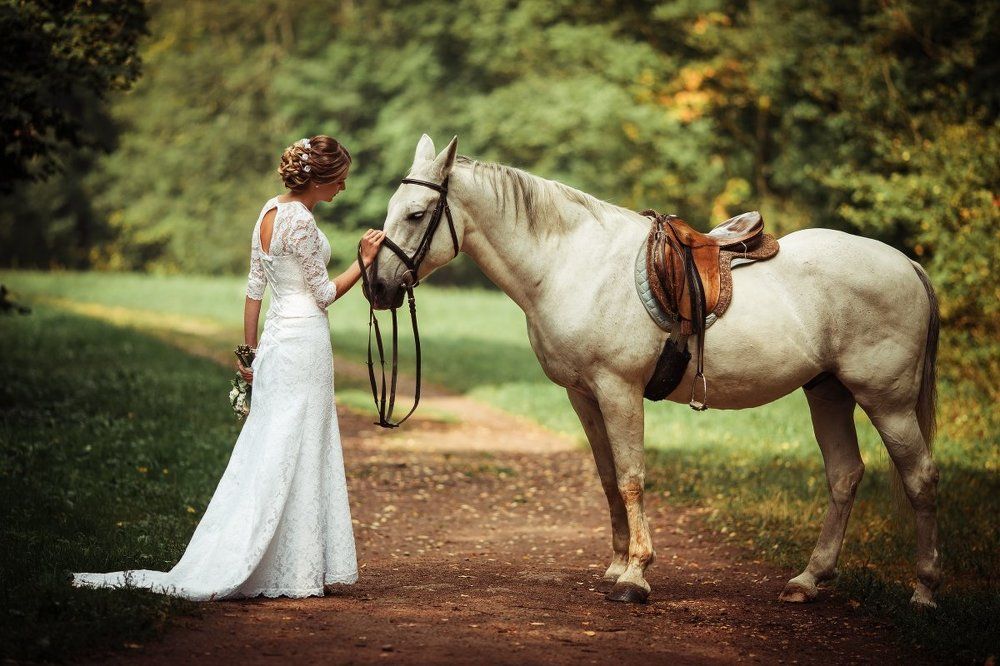 Безмолвный друг